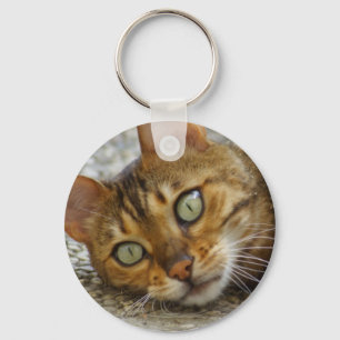美しいベンガルキャット キーホルダー