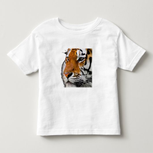 美しいベンガルタイガー顔写真 トドラーTシャツ (正面)