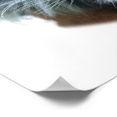 美しいベンガルタイガー顔写真 ポスター (角)