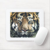 美しいベンガルタイガー顔写真 マウスパッド (マウス)