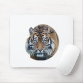 美しいベンガルタイガー顔写真 マウスパッド (マウス)