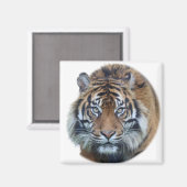 美しいベンガルタイガー顔写真 マグネット (正面/裏面)