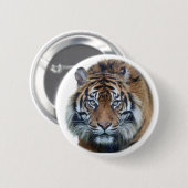 美しいベンガルタイガー顔写真 缶バッジ (正面&裏面)