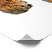 美しいベンガルタイガー顔&ポーズフォト ポスター (角)