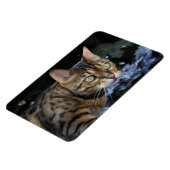 美しいベンガル猫 マグネット (左側)