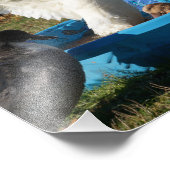 美しいペキンダック フォトプリント            (角)