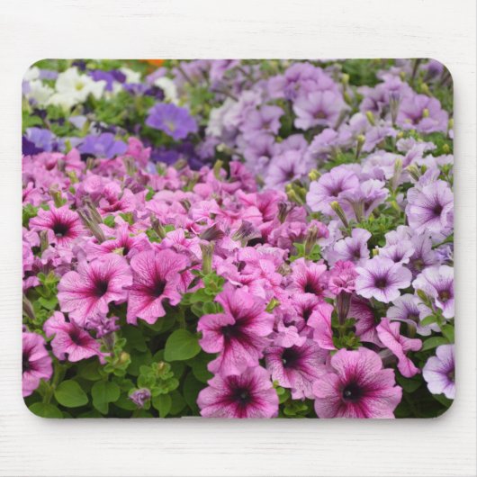 美しいペチュニアの花 マウスパッド (正面)