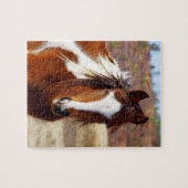 美しいペンキの馬のパズル ジグソーパズル (横)