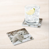 美しいホッキョクベアカブ スクエアペーパーコースター (インサイチュ)