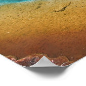 美しいホット春 ポスター (角)