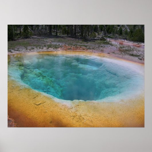 美しいホット春 ポスター (正面)