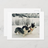 美しいホリデーポストカード シーズンポストカード (正面/裏面)