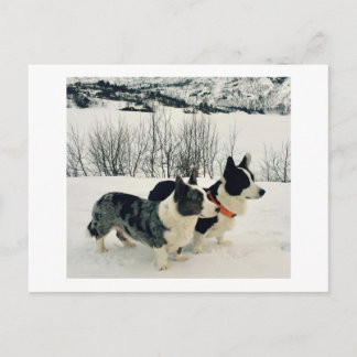 美しいホリデーポストカード シーズンポストカード