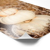 美しいホワイトカボチャ秋の草原 フォトプリント (角)