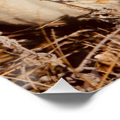 美しいホワイトカボチャ秋の草原 ポスター (コーナー)