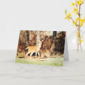 美しいホワイトテールディアバック水の色空白の カード (黄色い花)