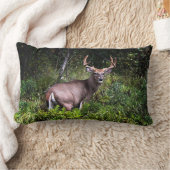 美しいホワイトテールバックランバーピロー ランバークッション (ブランケット)