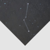 美しいホワイトピーコックオーロラボレアリスデクページ 薄葉紙 (詳細)