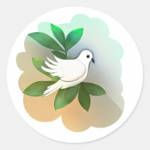 美しいホワイト鳩