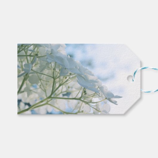 美しいホワイト アジサイの花 ハイキー ギフトタグ (正面(横))