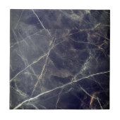 美しいホームタイル タイル (正面)