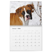 美しいボクサー2017のカレンダー カレンダー (1月 2026)