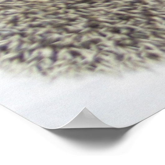 美しいポスター ポスター (角)