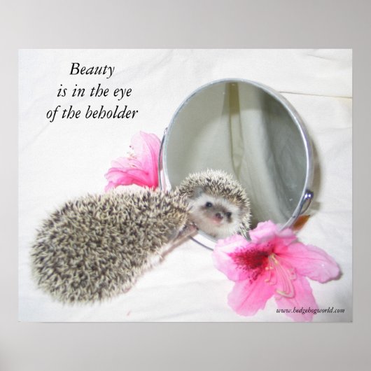 美しいポスター ポスター (正面)