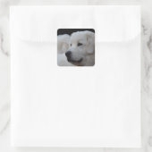 美しいポーランドのタトラシープドッグステッカー スクエアシール (バッグ)