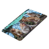 美しいマカケのサル聖なる書物、 経典出エジプト20:16 マグネット (左側)