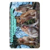 美しいマカケのサル聖なる書物、 経典出エジプト20:16 マグネット (縦)