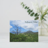 美しいマカプウ　オアフ島　ハワイ　山々　海の景色 ポストカード (スタンド正面)