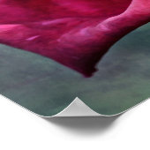 美しいマゼンタピンクローズ写真アートプリント ポスター (角)