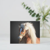 美しいマネを持つハフィンガーホース ポストカード (スタンド正面)
