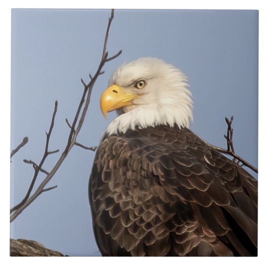 美しいママ (イーグル) セラミック タイル (正面)