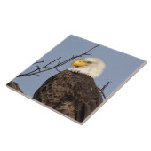 美しいママ (イーグル) セラミック タイル (側面)