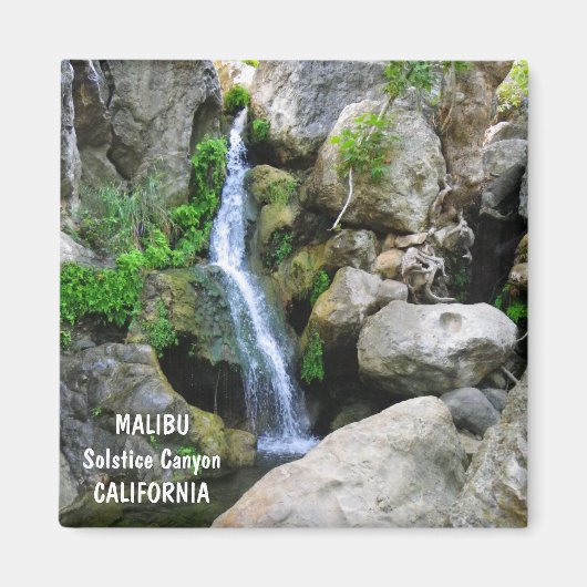 美しいマリブ磁石！ マグネット (正面)