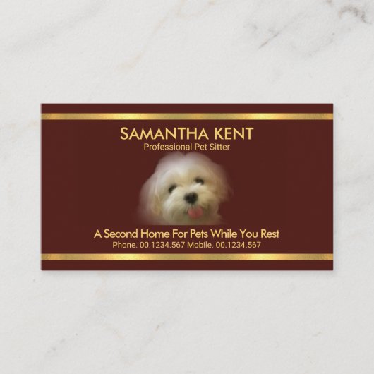 美しいマルチーズドッグレッド金ゴールドペットシストライプッター 名刺 (正面)
