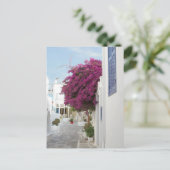 美しいミコノス ポストカード (スタンド正面)