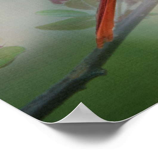 美しいミスター(鳥)ショウジョウコウカンチョウ ポスター (角)