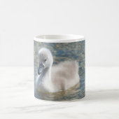 美しいミュート白鳥のアヒル コーヒーマグカップ (中央)