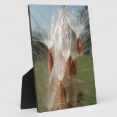 美しいミルクウィード魔法：スカイワード飛行デザイン フォトプラーク (側面)