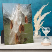 美しいミルクウィード魔法：スカイワード飛行デザイン フォトプラーク (側面)