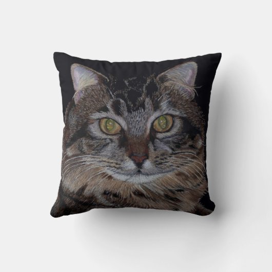 美しいメインのあらいぐま猫の枕 クッション (裏面)