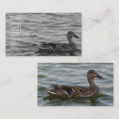 美しいメスのマガモのアヒル 名刺 (正面/裏面)