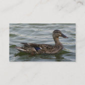 美しいメスのマガモのアヒル 名刺 (裏面)