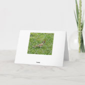 美しいメドウエストランドスケープ写真誕生日カード シーズンカード (裏面)