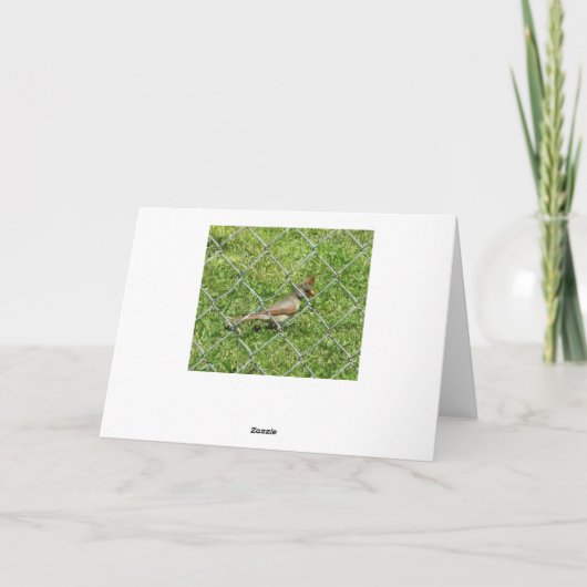 美しいメドウエストランドスケープ写真誕生日カード シーズンカード (裏面)