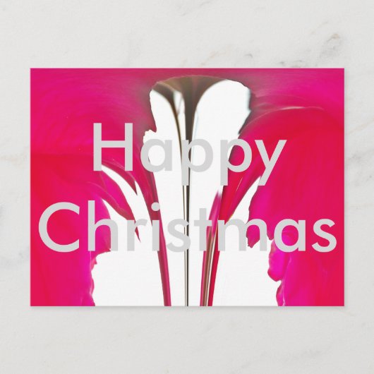 美しいメリークリスマスシック驚くべき赤いバラ シーズンポストカード (正面)