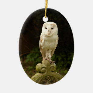 美しいメンフクロウのオーナメント セラミックオーナメント